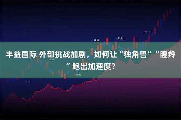 丰益国际 外部挑战加剧，如何让“独角兽”“瞪羚”跑出加速度？